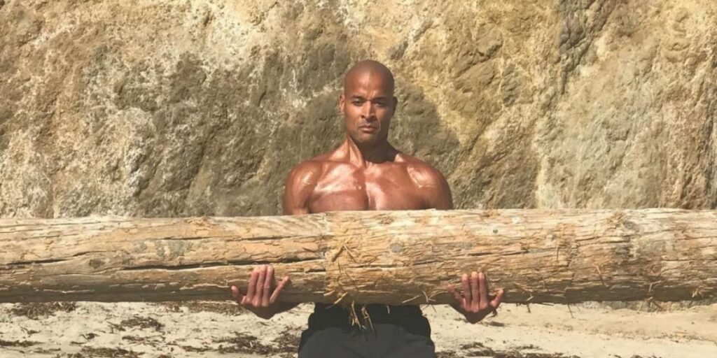 David Goggins career